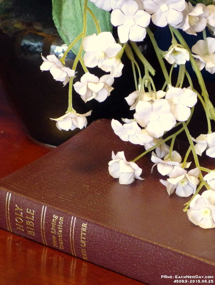 45083CrLe - Bible and flower on our welcome desk